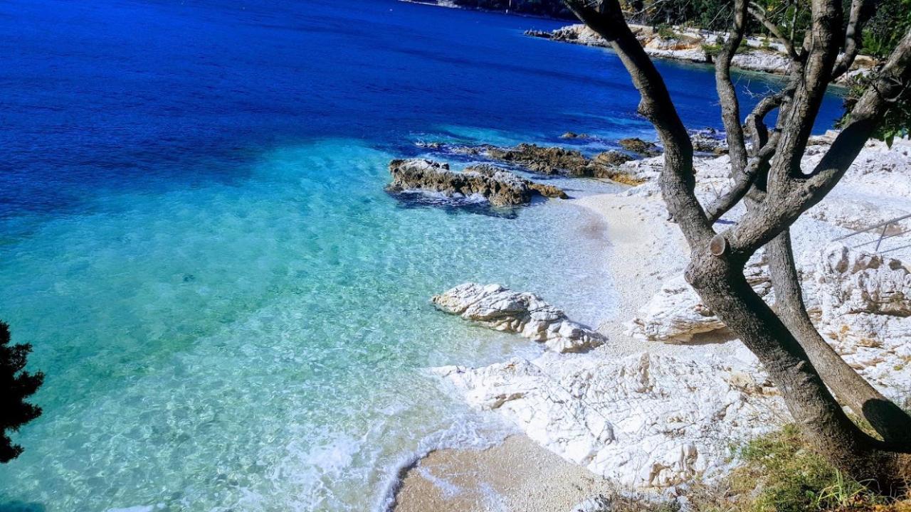 Villa Ema Rovinj Eksteriør billede